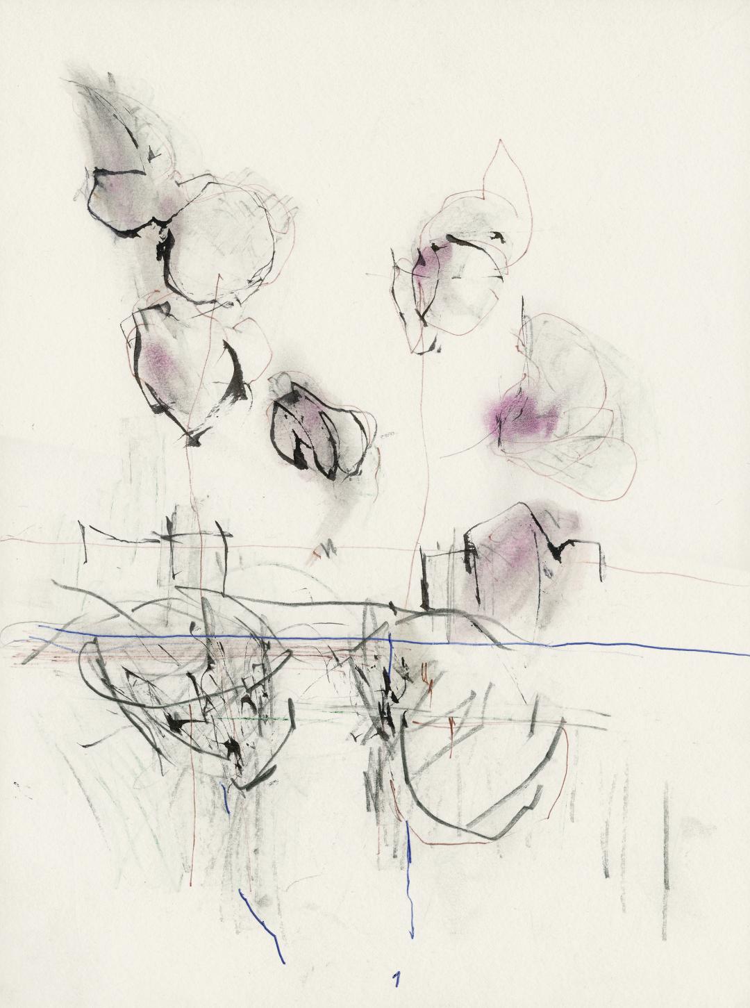 Markus Tepe - Orchideen, 2006, Graphit, Tusche, Filzstift, 32 x 24 cm