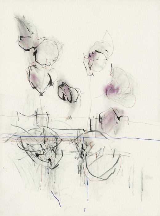 Markus Tepe - Orchideen, 2006, Graphit, Tusche, Filzstift, 32 x 24 cm