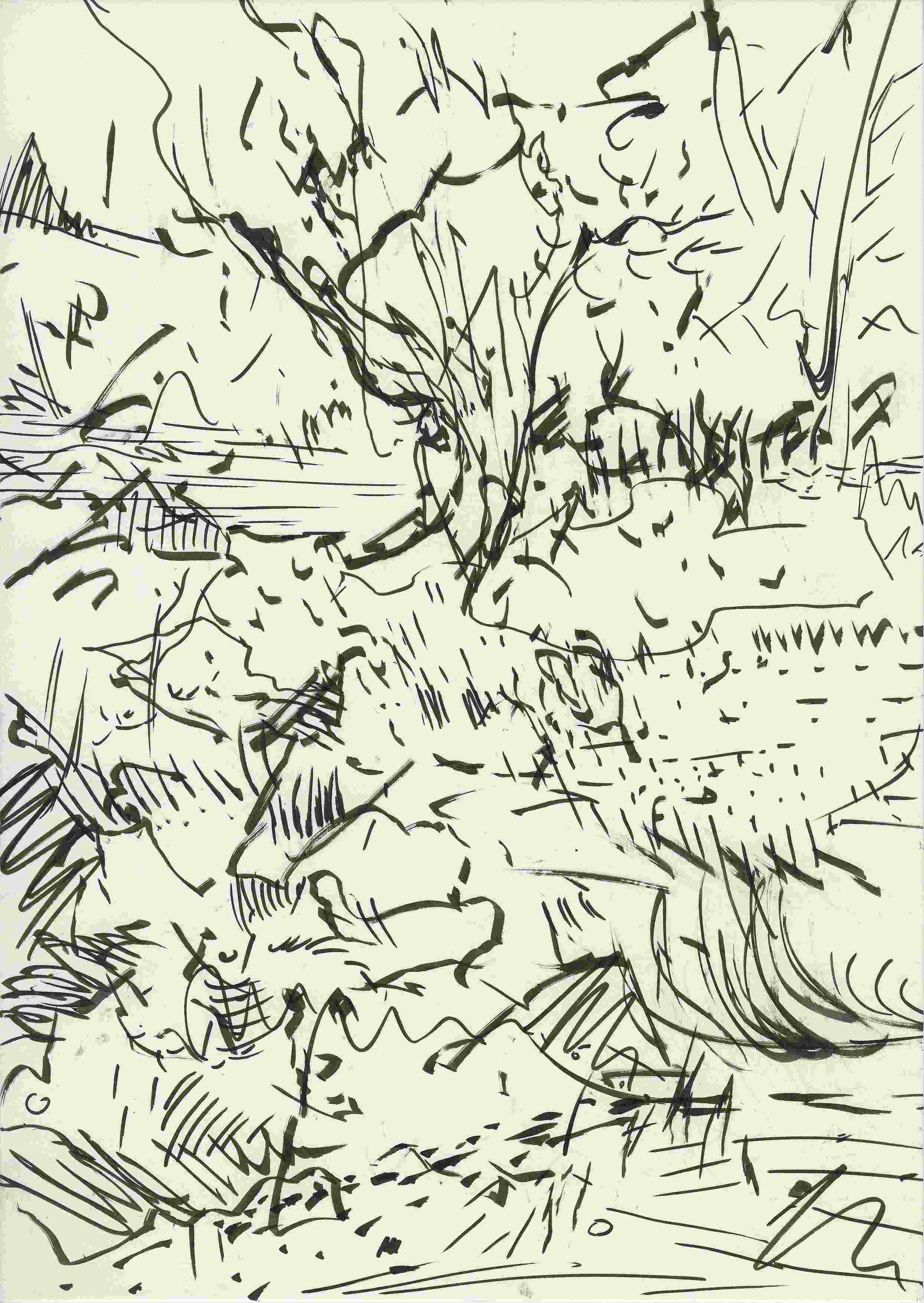 Markus Tepe - Südlicher Garten (Kirschbaum), 2010, Tuschestift, 29,7 x 21 cm